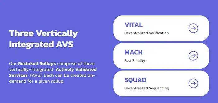 vertically-integrated-avs