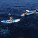 simply_boat_3-min.png
