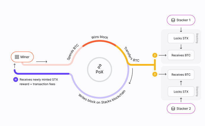 pox Diagram